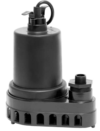 PAN91570